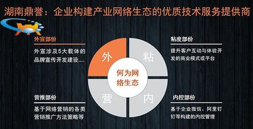 二十年網(wǎng)絡(luò)營銷實(shí)戰(zhàn)專家談 國內(nèi)企業(yè)網(wǎng)絡(luò)營銷推廣的“道、法、術(shù)”